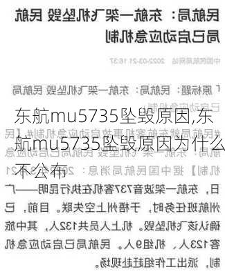 东航mu5735坠毁原因,东航mu5735坠毁原因为什么不公布-第2张图片-呼呼旅行网