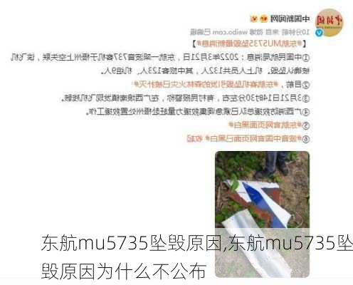 东航mu5735坠毁原因,东航mu5735坠毁原因为什么不公布