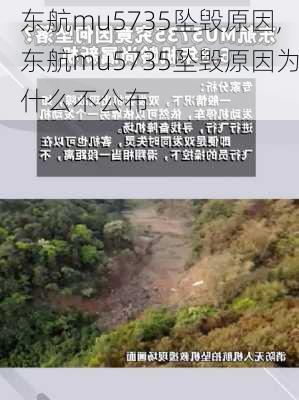 东航mu5735坠毁原因,东航mu5735坠毁原因为什么不公布-第3张图片-呼呼旅行网