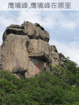 鹰嘴峰,鹰嘴峰在哪里-第3张图片-呼呼旅行网