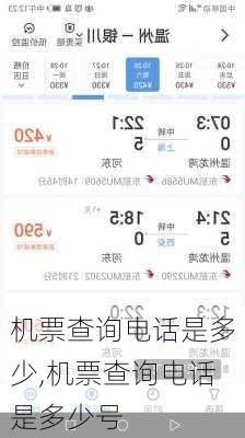 机票查询电话是多少,机票查询电话是多少号-第3张图片-呼呼旅行网