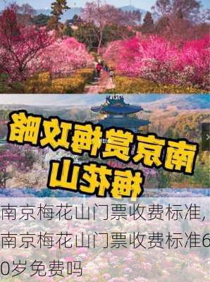 南京梅花山门票收费标准,南京梅花山门票收费标准60岁免费吗-第2张图片-呼呼旅行网