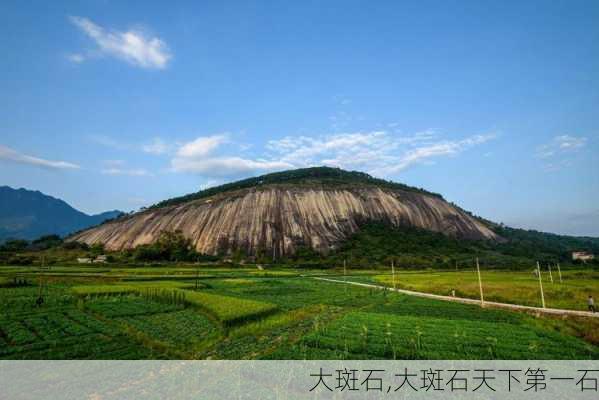 大斑石,大斑石天下第一石-第2张图片-呼呼旅行网