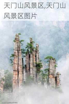 天门山风景区,天门山风景区图片-第3张图片-呼呼旅行网