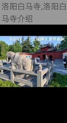 洛阳白马寺,洛阳白马寺介绍-第1张图片-呼呼旅行网