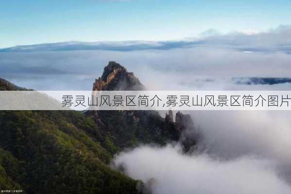 雾灵山风景区简介,雾灵山风景区简介图片-第2张图片-呼呼旅行网