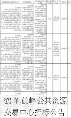 鹤峰,鹤峰公共资源交易中心招标公告-第3张图片-呼呼旅行网