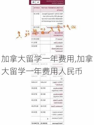 加拿大留学一年费用,加拿大留学一年费用人民币