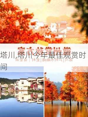 塔川,塔川今年最佳观赏时间-第2张图片-呼呼旅行网