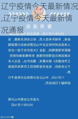 辽宁疫情今天最新情况,辽宁疫情今天最新情况通报-第2张图片-呼呼旅行网