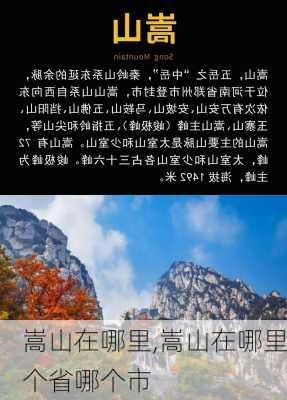 嵩山在哪里,嵩山在哪里个省哪个市-第2张图片-呼呼旅行网