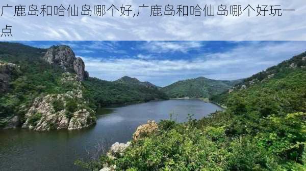 广鹿岛和哈仙岛哪个好,广鹿岛和哈仙岛哪个好玩一点-第1张图片-呼呼旅行网