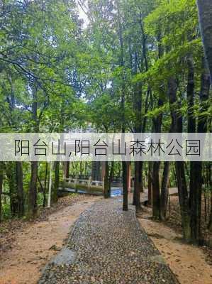 阳台山,阳台山森林公园-第1张图片-呼呼旅行网