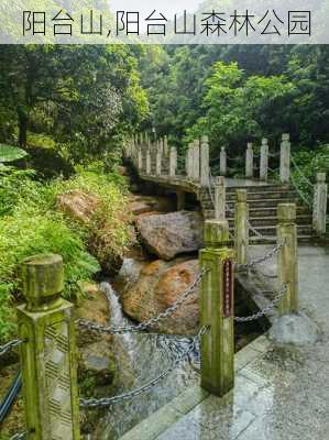 阳台山,阳台山森林公园-第3张图片-呼呼旅行网