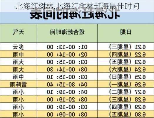 北海红树林,北海红树林赶海最佳时间-第1张图片-呼呼旅行网