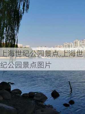 上海世纪公园景点,上海世纪公园景点图片