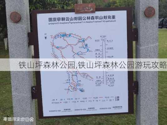 铁山坪森林公园,铁山坪森林公园游玩攻略