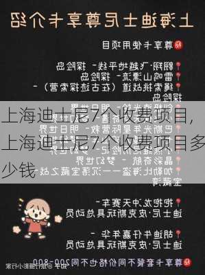 上海迪士尼7个收费项目,上海迪士尼7个收费项目多少钱-第3张图片-呼呼旅行网